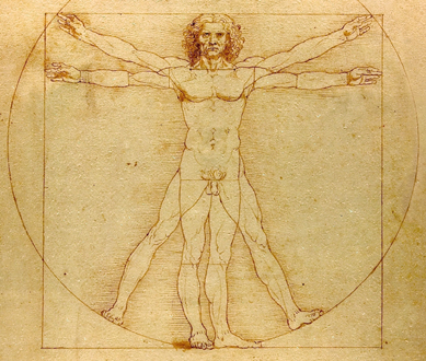 Leonardo da Vinci, Ecce Homo, l'homme de Vitruve, Accademia di Venezia