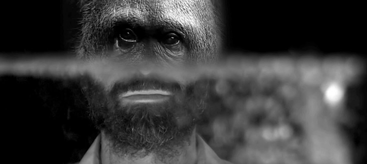 Moi singe, théâtre musical de Januibe Tejera, en création à Musica