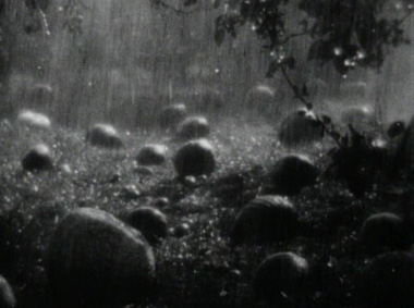 La terre, film d’Alexandre Dovjenko et musique de Sphota